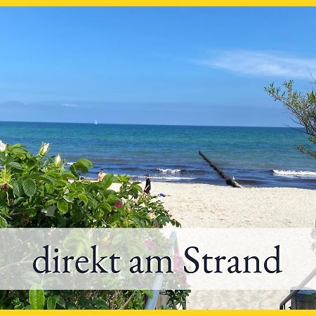 3 Zimmer App Duenengarten Fewo 58 Kühlungsborn Dış mekan fotoğraf