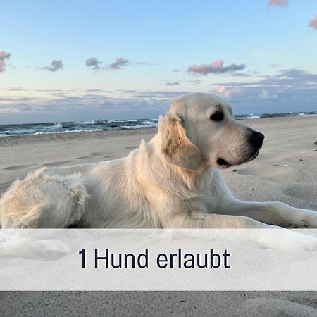 3 Zimmer App Duenengarten Fewo 58 Kühlungsborn Dış mekan fotoğraf