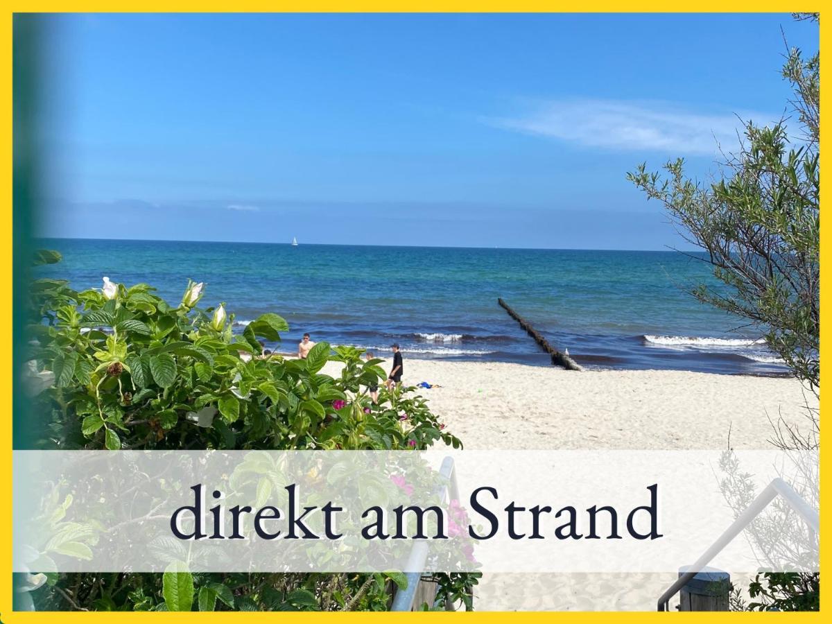 3 Zimmer App Duenengarten Fewo 58 Kühlungsborn Dış mekan fotoğraf