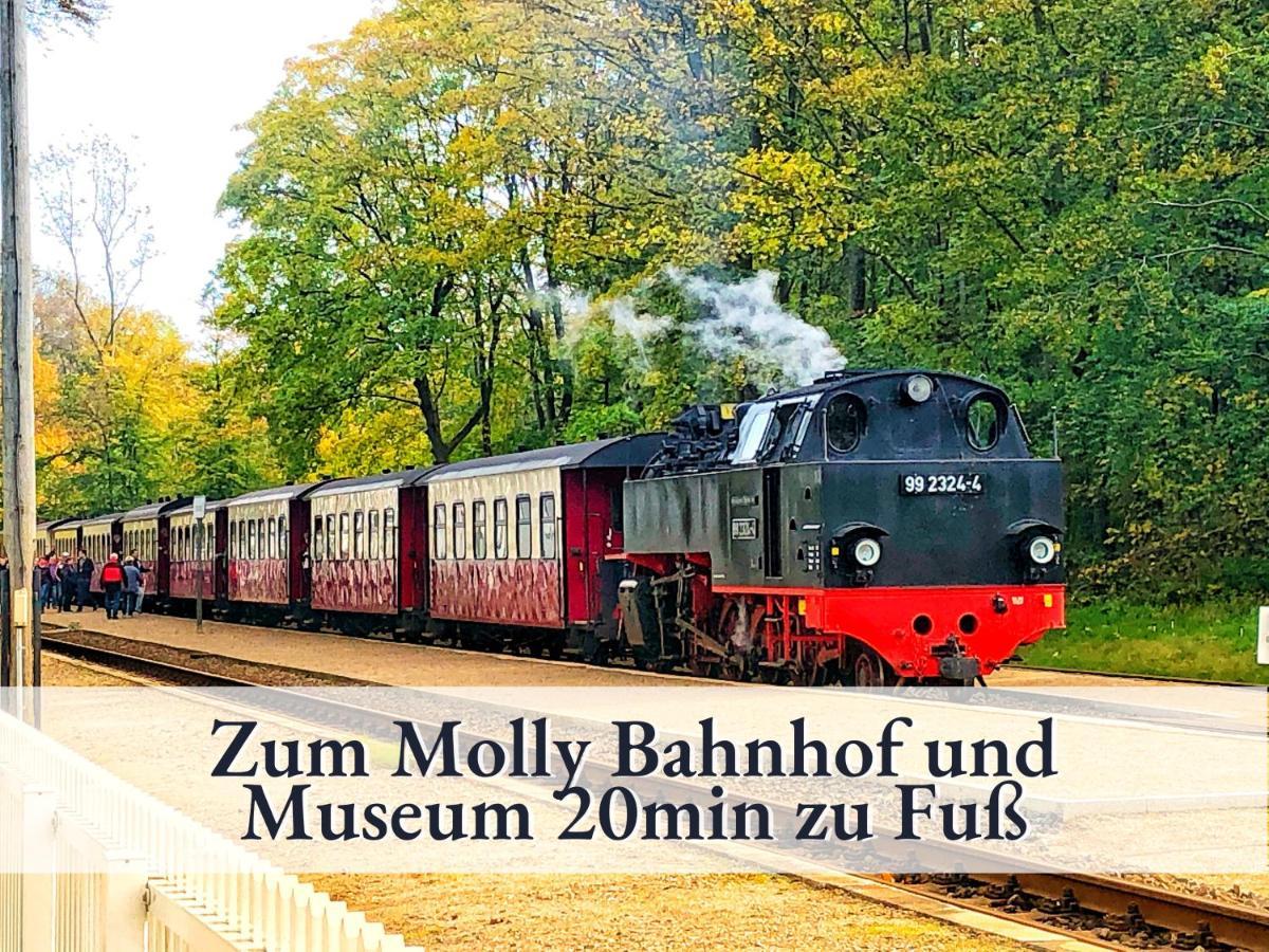 3 Zimmer App Duenengarten Fewo 58 Kühlungsborn Dış mekan fotoğraf