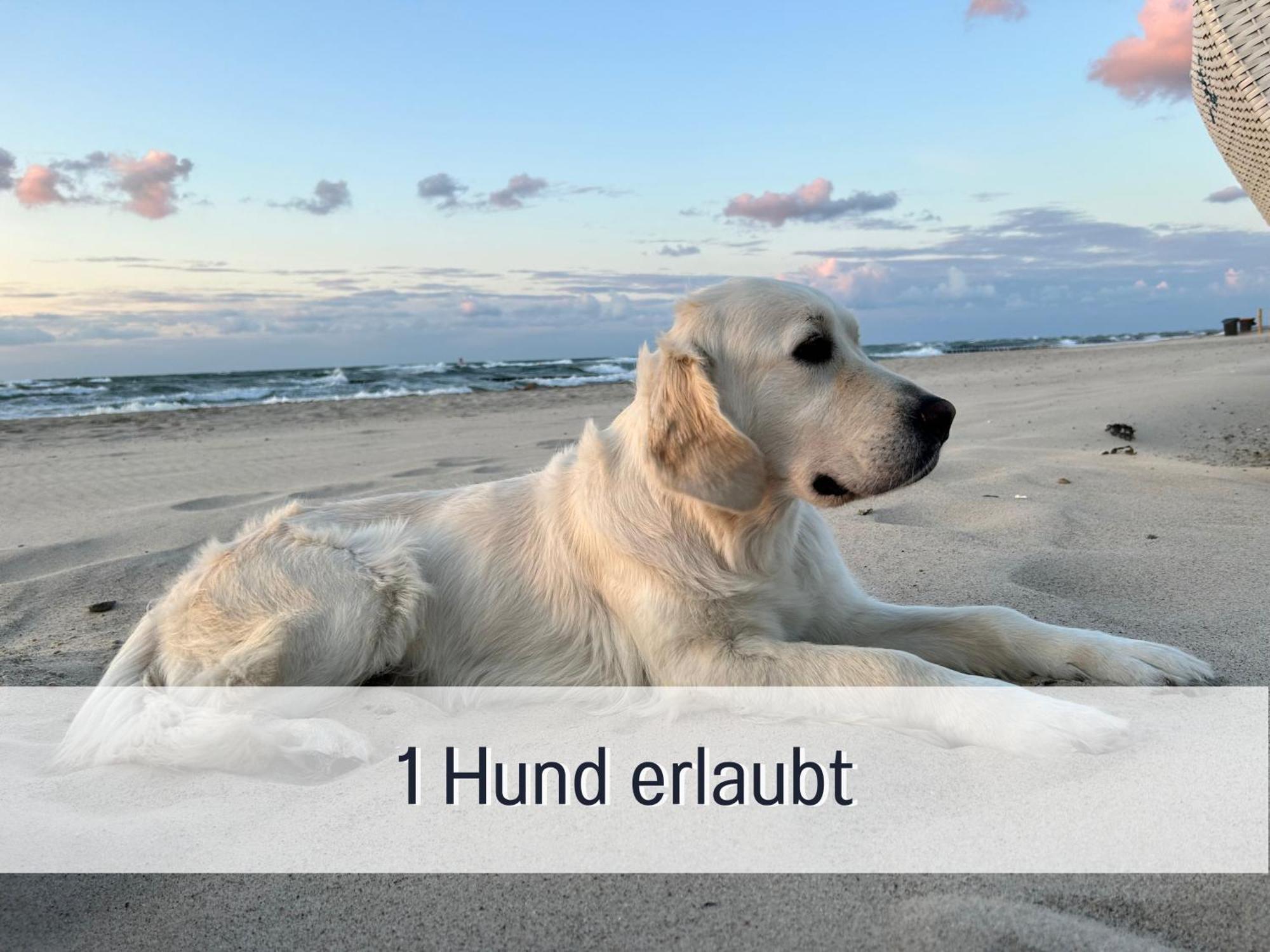 3 Zimmer App Duenengarten Fewo 58 Kühlungsborn Dış mekan fotoğraf